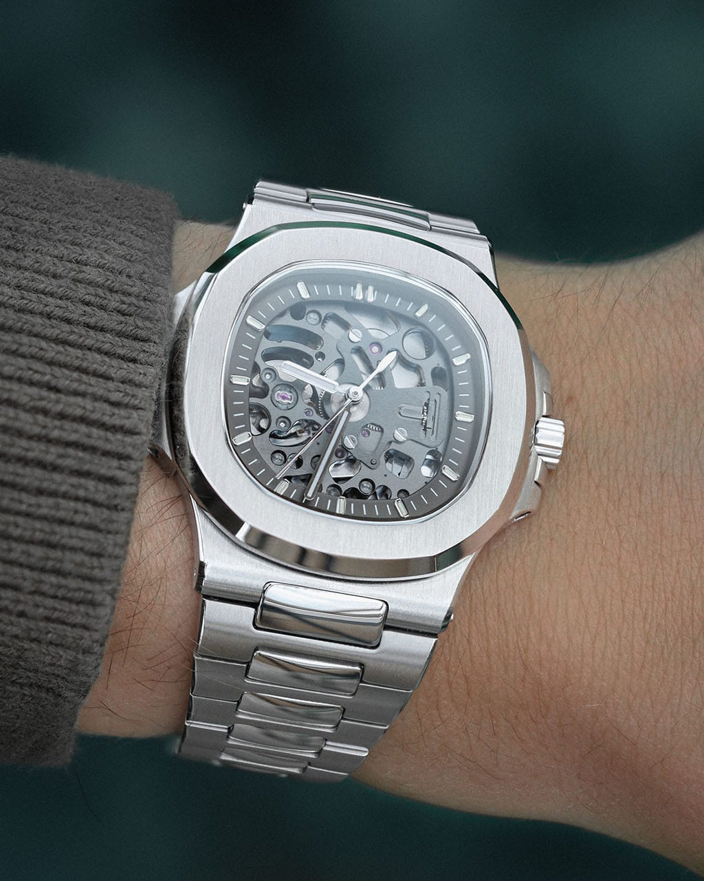 Nautilus Skeleton Silver