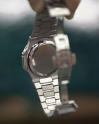 Nautilus Skeleton Silver