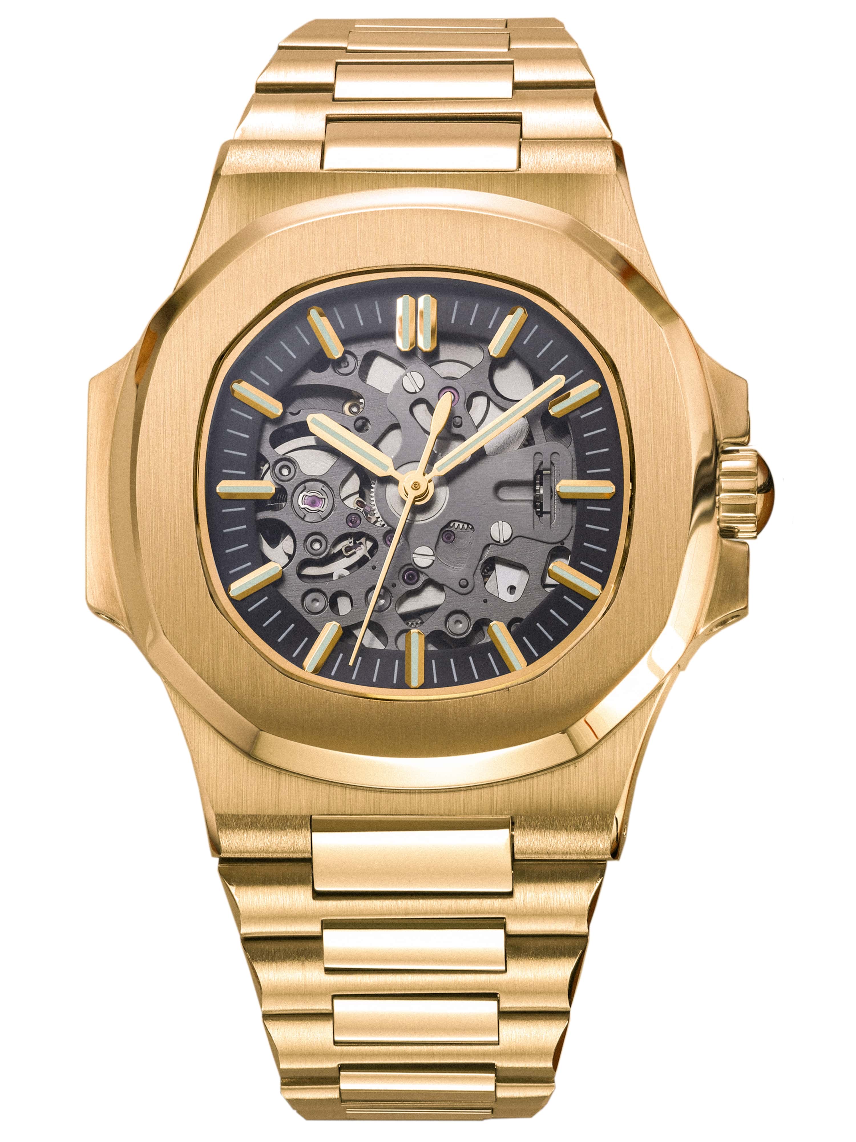 Nautilus Skeleton Gold